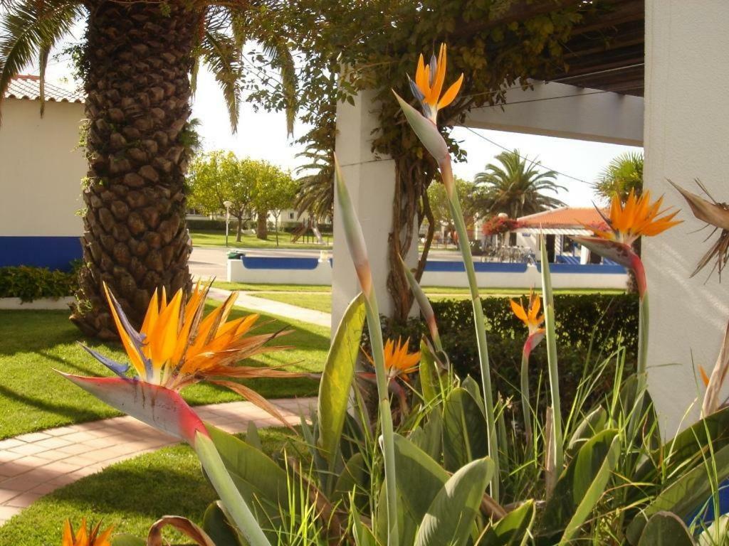Parque Campismo Porto Covo Hotel Buitenkant foto
